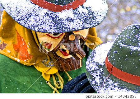 Carneval in Germany 14342855