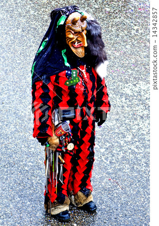 Carneval in Germany 14342857