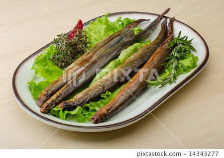 Lamprey Lamprey 14343277