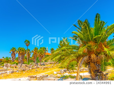 ancient Agora in Kos island in Greece ancient Agora in Kos island in Greece 14344991