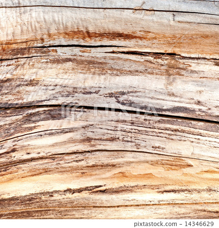 Old Dry Wood 14346629