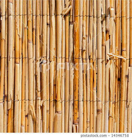 Wattle Fence Texture 14346758