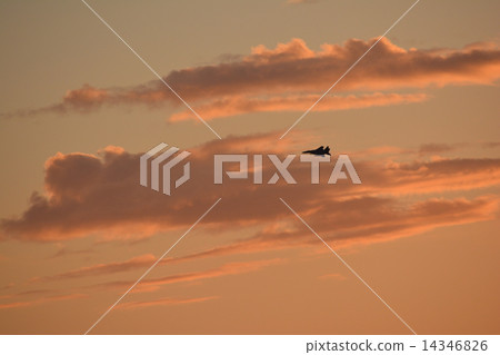 Jet flying dusk 14346826