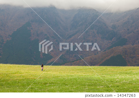 Autumn plateau 14347263