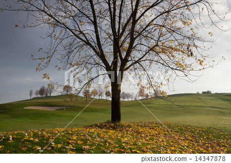 On a empty golf course 14347878