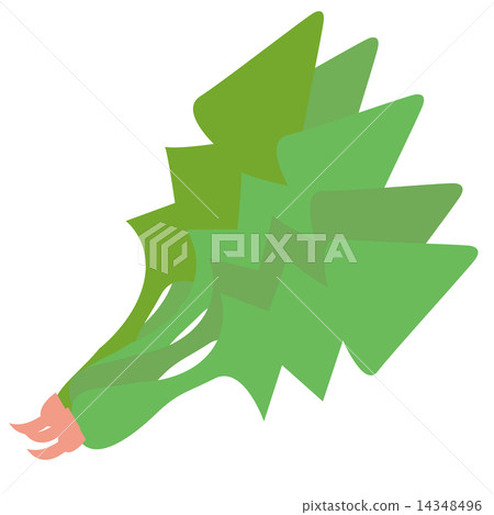 Vegetable _ Spinach 14348496