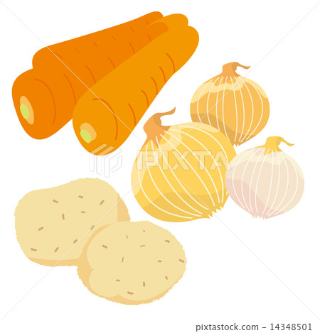 Three kinds of vegetables _ Carrot, onion, potato 14348501