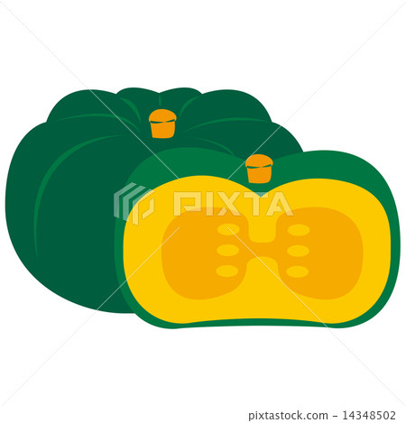 Vegetable _ Pumpkin 14348502