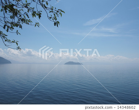 琵琶湖在夏天 14348602