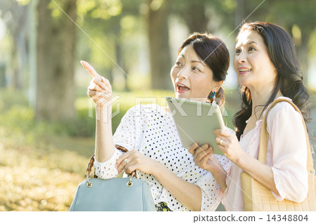 Middle Age Beauty 14348804