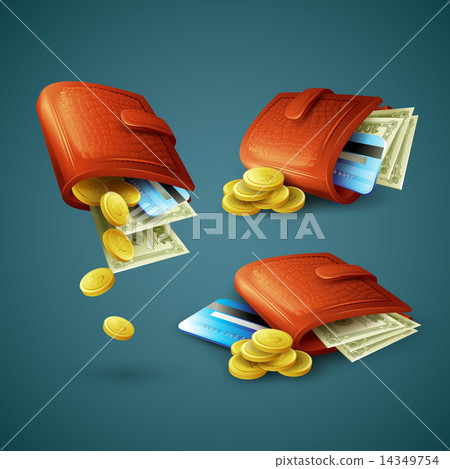 Purse with money, credit cards and coins. Vector illustration 14349754