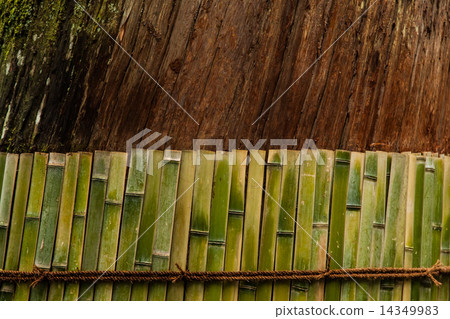 Cedar skin Cedar skin 14349983