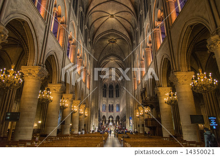 巴黎圣母院大教堂 巴黎圣母院大教堂 14350021