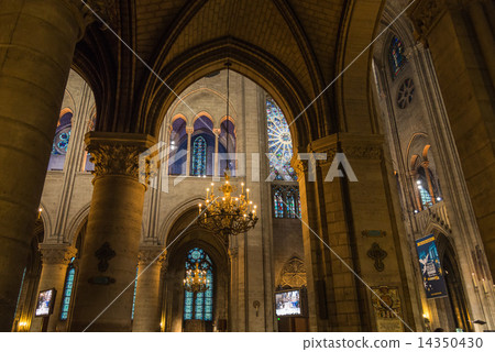 巴黎圣母院大教堂 巴黎圣母院大教堂 14350430