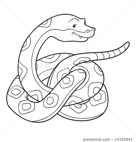 coloring book snake  stock illustration 14350941  pixta