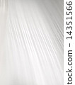 White 14351566