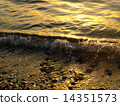 Sea	 14351573