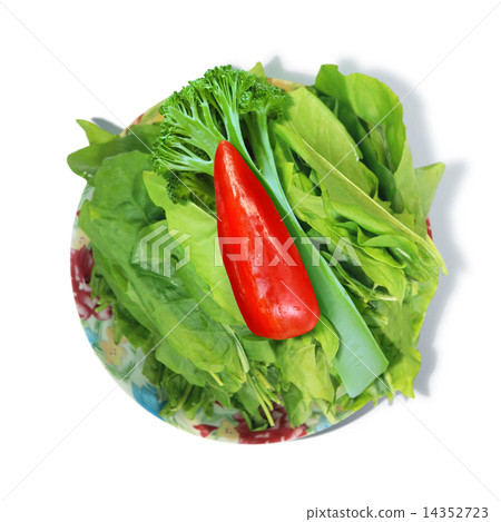 sour dock 14352723