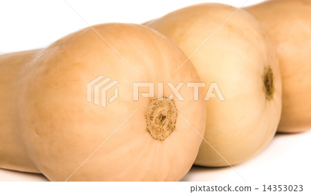 pumpkins pumpkins 14353023