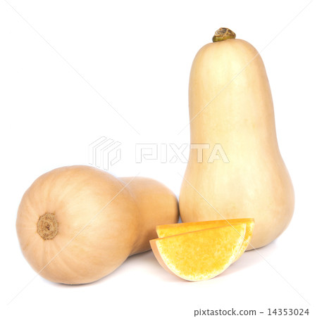 pumpkin pumpkin 14353024