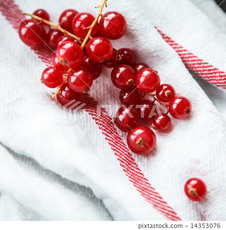 red currant 14353076