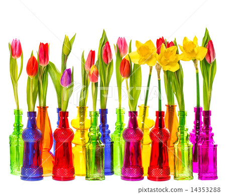 Tulip and narcissus flowers in colorful vases 14353288