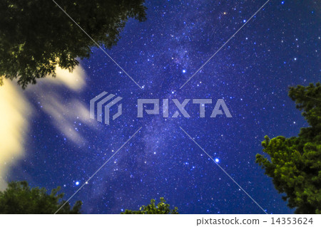 夏季三角星座 夏季三角星座 14353624