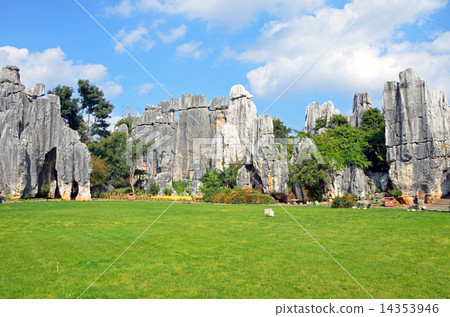 雲南的石林 14353946