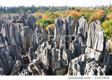 Yunnan's stone forest Yunnan's stone forest 14353948