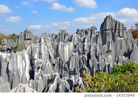 雲南的石林 14353949