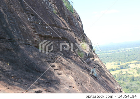 Sigiriya rock monkey 14354184