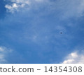 Blue sky and airplane 14354308
