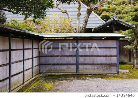 Bamboo fence 14354646