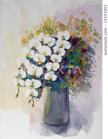 Skull with buttercup phalaenopsis orchid 14355003
