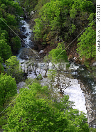 Shiokagakura Shiokagakura 14355111