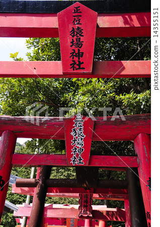 Torii 14355151
