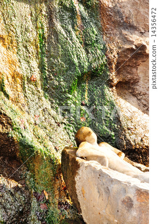 Kojin of Jozankei Onsen Kojin of Jozankei Onsen 14356472