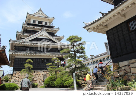 Nakatsu Castle 14357029