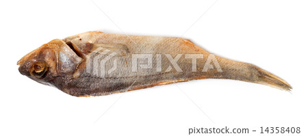 Sun-dried roach isolated on white background 14358408