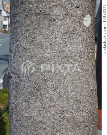 Fist Series (bark) 14358573