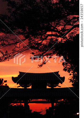 八月首里城和沖繩神社(夜景) 八月首里城和沖繩神社(夜景) 14358657