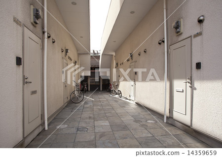 Shared department of rental apartment 14359659