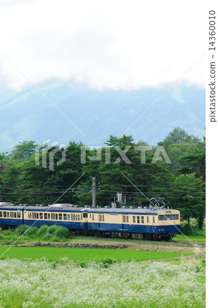 Odo線的地方火車在夏天夏天蜘蛛143 115系列的高地運行 14360010