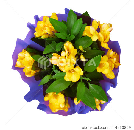 Bouquet of yellow fresia flower Bouquet of yellow fresia flower 14360809