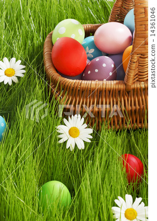 Basket of easter eggs Basket of easter eggs 14361046