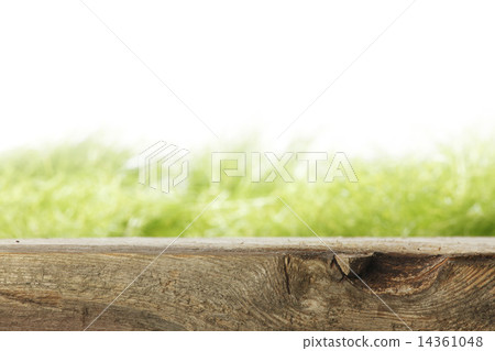 Wooden plank and grass Wooden plank and grass 14361048