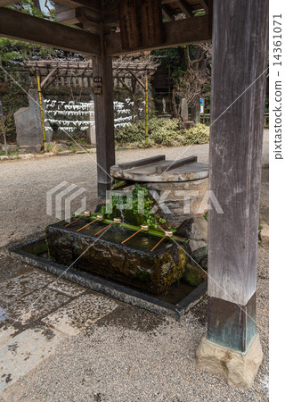 Tokyo Shikaji Temple 14361071