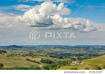 Green hills of Piedmont in spring. 14361507