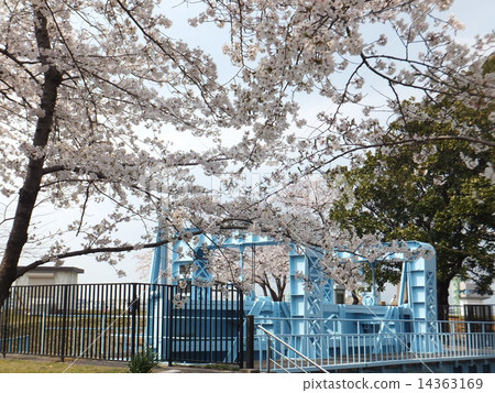Furma First Lock Gate and Cherry Blossoms 14363169