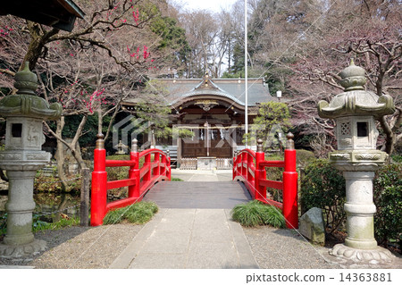 東京都小金井市努久伊神社 2015/03 東京都小金井市努久伊神社 2015/03 14363881